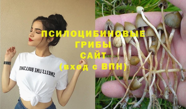 амф Навашино