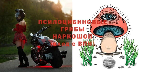 спиды Михайлов