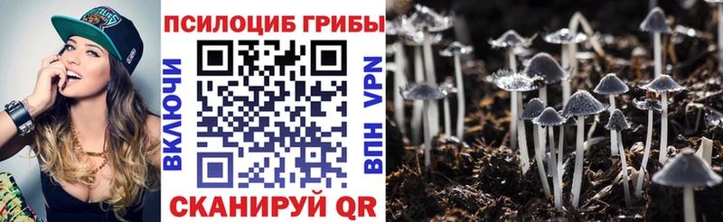 кракен ТОР  хочу наркоту  Родники  Галлюциногенные грибы Cubensis 