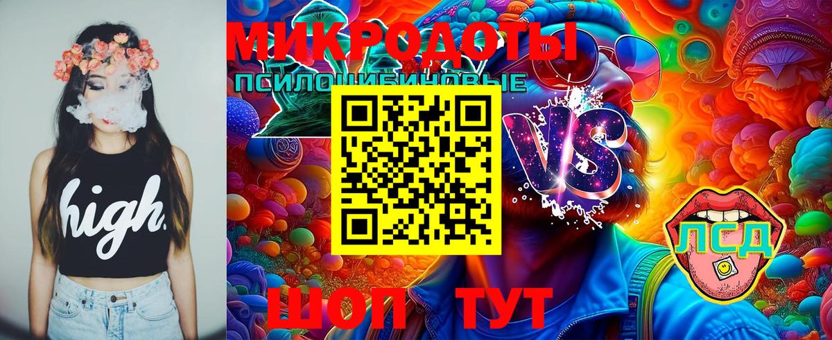 Псилоцибиновые грибы Cubensis Родники